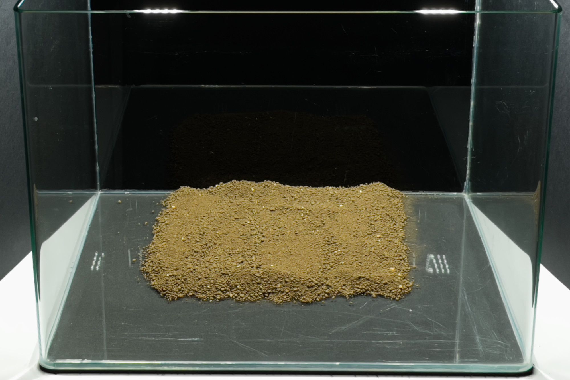No-filter aquarium with completed plant growth substrate layer