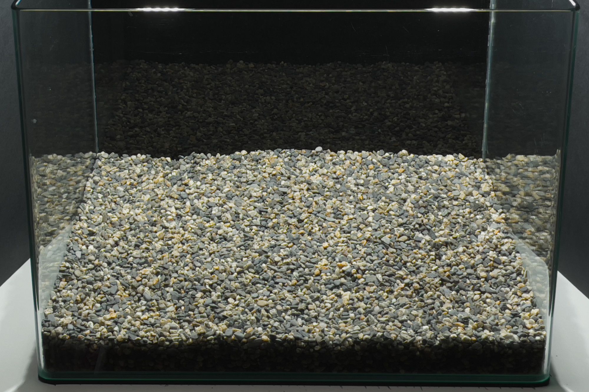 No-filter aquarium with completed gravel layer