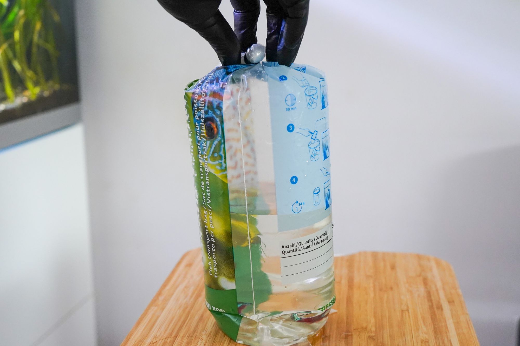 How to drip acclimate aquatic animals