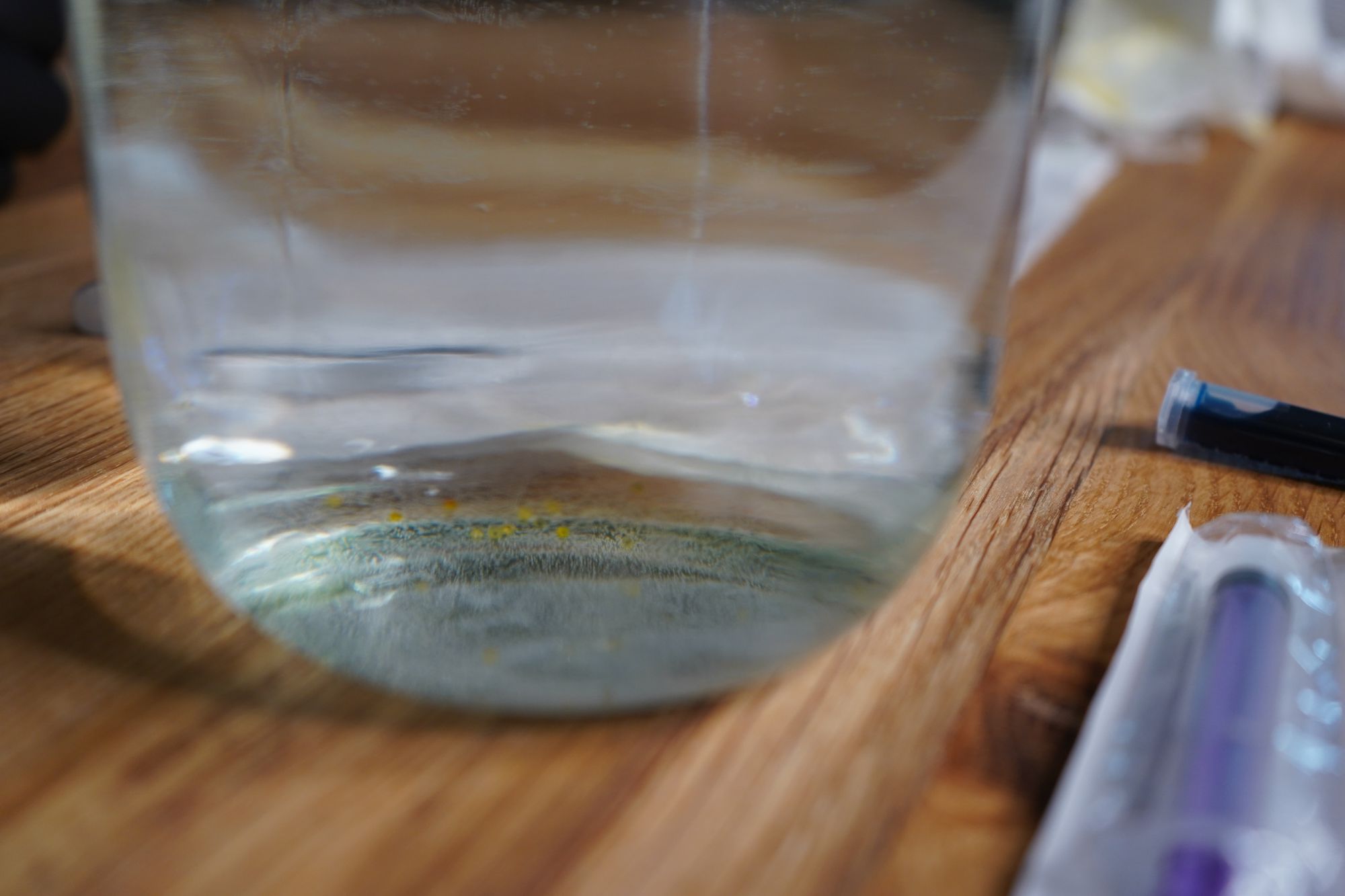 All eggs separated in the jar.