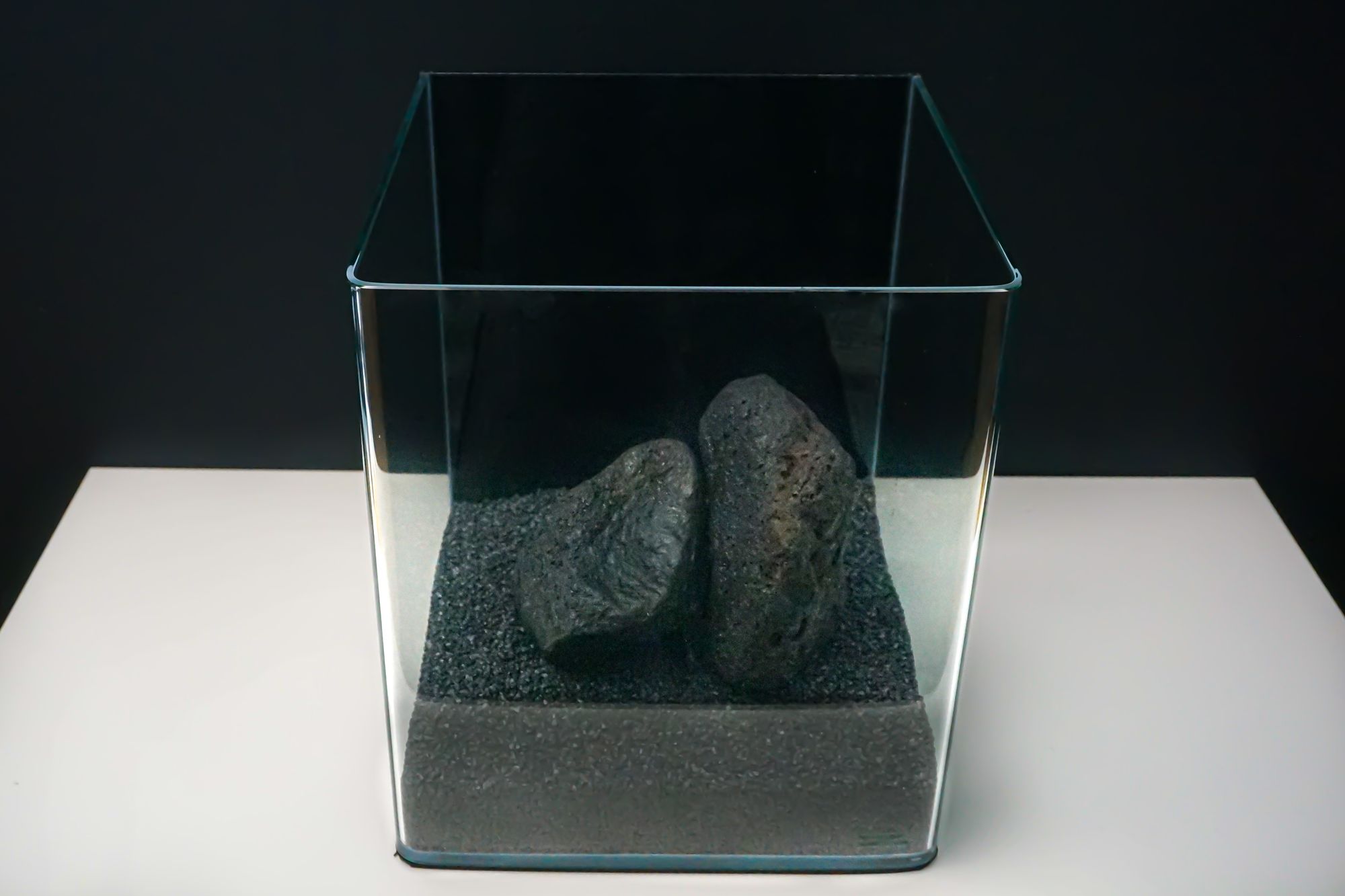 Final hardscape, 2 black lava rock cobbles leaning against each other.
